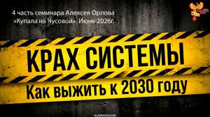 Крах системы. Как выжить к 2030 году
