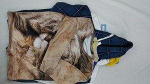44740 Толстовки (в основном мужские), 10пак, MAN SWEATSHIRTS, секонд (extra/1 кат) оптом