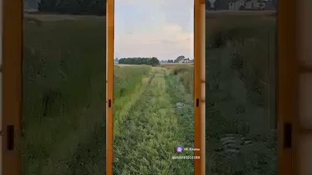 A little bit about animals 🐶🐈 смотреть онлайн