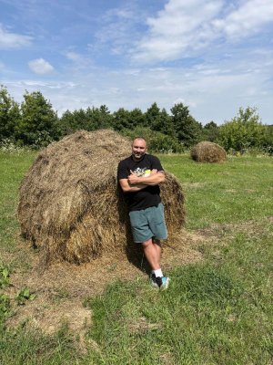 Алло Смольный! 23.07.26