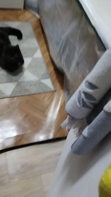 сева и огурец сева и огурец