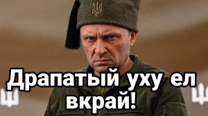 ДРАПАТЫЙ ПЕРЕШЕЛ К ОСКОРБЛЕНИЯМ В АДРЕС РОССИИ И ДОНБАССА / ТАМИР ШЕЙХ новости сводки