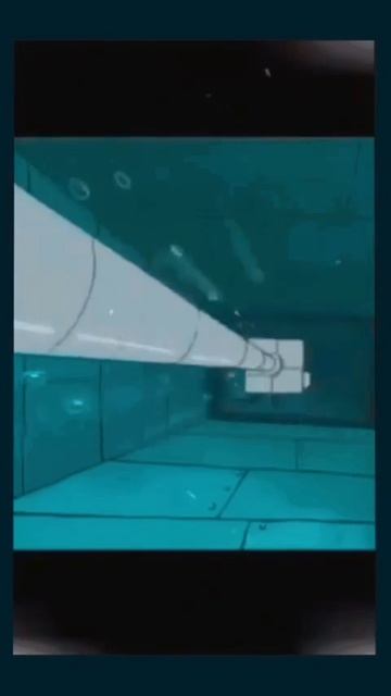 1000013376.mp4 1000013376.mp4