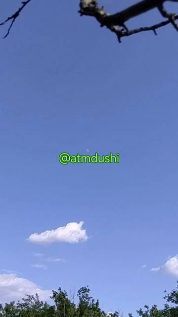 Новое видео! Звуки пения птиц для сна, отдыха, успокоения и релаксации. Атмосфера неба и природы.