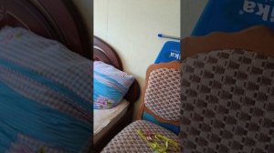 VID_20260503_170558