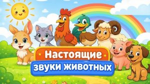 Настоящие звуки животных | Учим животных для малышей | Развивающее видео