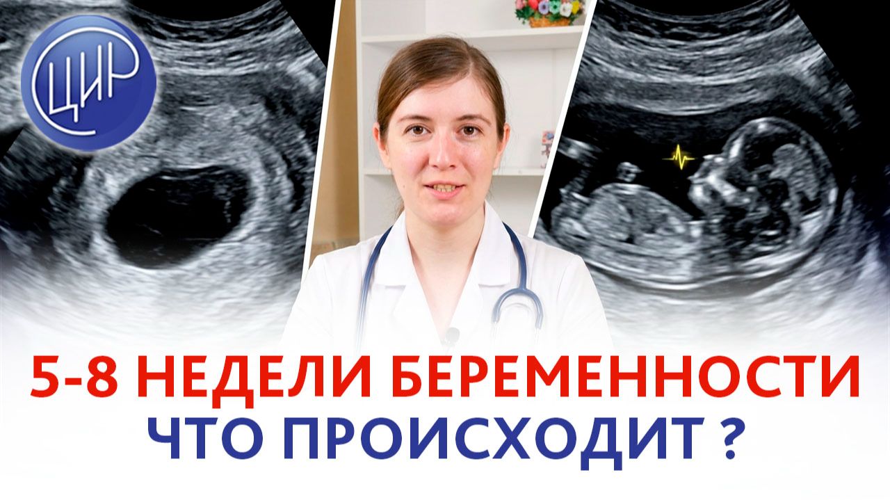 5-8 недели: Ваш малыш на втором месяце