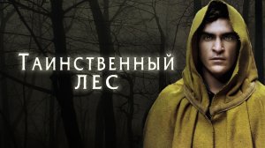 Таинственный лес (2004) / The Village