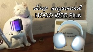 Обзор Наушников HOCO W65 Plus