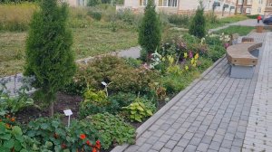 Распаковка покупок!Цветы в нашем дворике.🌺Ответ на комментарий! На даче всё иначе!🏡