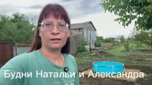Обзор моего огорода на сегодняшний день 23 июля 2026 года