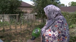 23 июля - День дачника