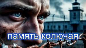 ЖИЗНЕННЫЕ ПЕСНИ|Память колючая|ШАНСОН ДЛЯ ДУШИ
