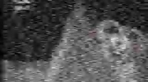 (права не мои!) RVA: FRAGMENT TELEKANALA STS 11.6.2012 (ATV)