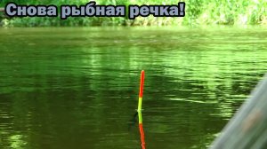 Рыбалка 21 июля на рыбной речке на поплавок в проводку и поиск мест и в конце офигел..