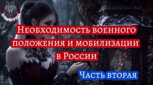 Необходимость военного положения и мобилизации в России. Часть вторая.