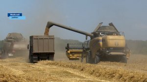 Пшеница, ячмень, горох, рапс. В республике продолжается уборочная кампания