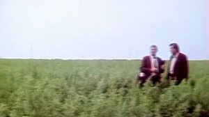 1988 год. Тюмень. 200 гектар земли под застройку