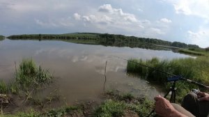 На какой глубине ловить карася в июле?  23.07.2026 г.