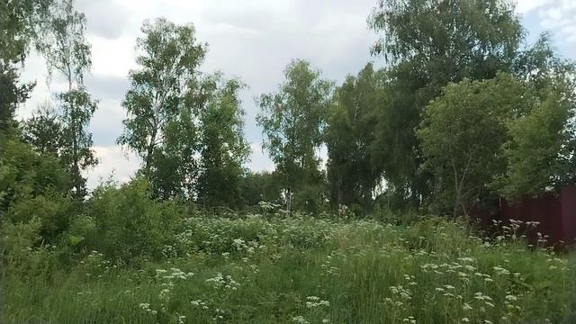50:04:0070310:4983 смотреть онлайн