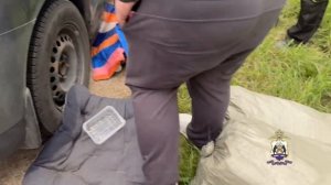 Новгородская полиция перехватила межрегионального наркокурьера, перевозившего более 22 кг марихуаны