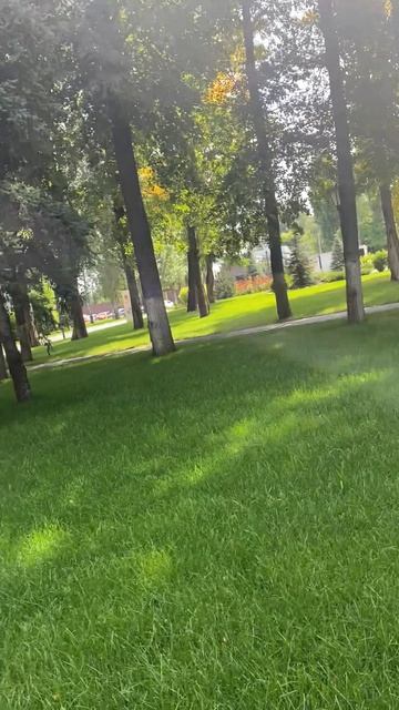 23-07-2026 смотреть онлайн