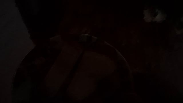обе сели,но это не помешало смотреть онлайн