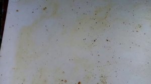 Пчеловодство Финал ч 1.Уничтожить клеща ,,на корню,, ,не дожидаясь осени.100% методика.