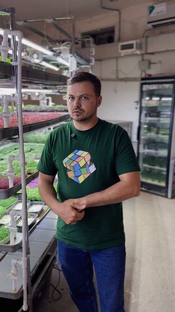 📈 Повышение цен на микрозелень? Не слышали о таком!