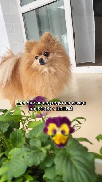 Когда я перестану быть вонючкой?