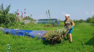 Чеснок убрала, всех полюбила. Наверно мне это надо.