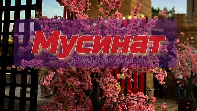 МУСИНАТ 2026
