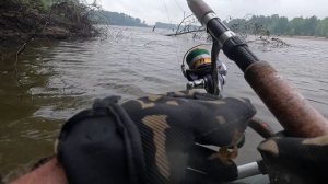 🔺️🎣ОКУНЯ🎣🔺️fishing#туризм#природа#ловля#рыбалка#щука#ловлящуки#ночевка#Чулым#река#спиннинг