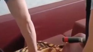В Нижнем Новгороде собака выдала прятавшегося в диване должника по алиментам
Задолжавший более 220 т