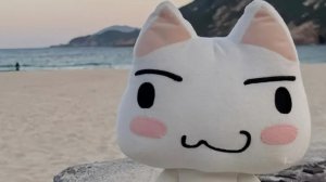 😻Котик оценивает рутуберов по чг, 1 часть😻