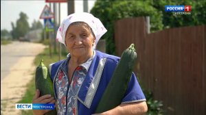 Дачи помогают костромичам почувствовать лето