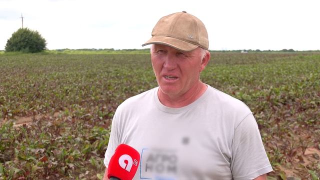 Амурские аграрии борются с переувлажнением почвы из-за дождей смотреть онлайн