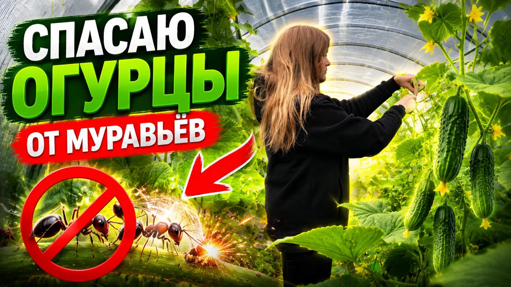 Такого ужаса я ещё не видела/это подействовало/готовимся к поездке. смотреть онлайн