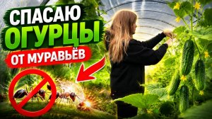 Такого ужаса я ещё не видела/это подействовало/готовимся к поездке.