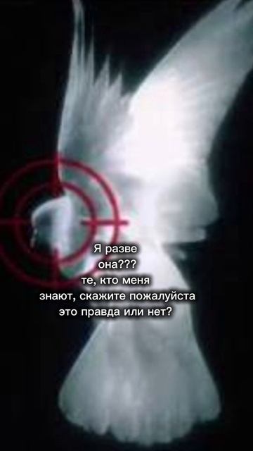 это странно, можем пообщаться в ТГК по ссылке в описе канала