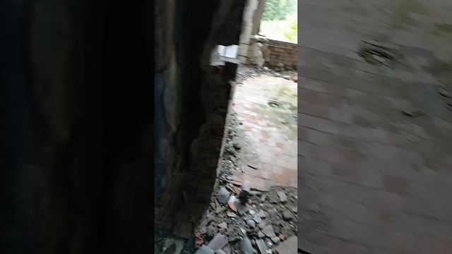 дэн 12 смотреть онлайн
