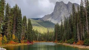 Уже без вариантов