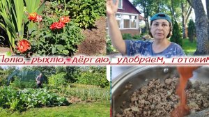 Процедуры оздоровления для овощей на огороде и в теплице!