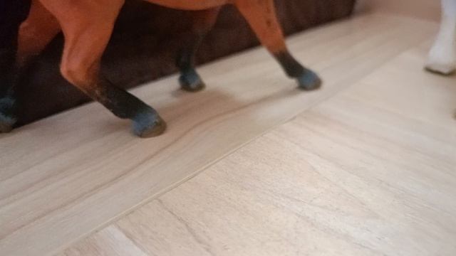 Капела 3 серия смотреть онлайн