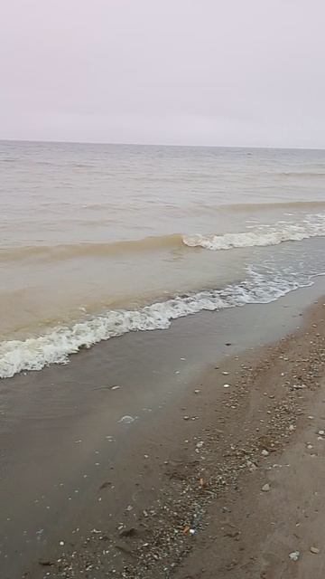Цимлянское водохранилище смотреть онлайн