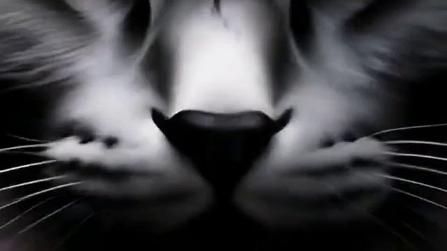 Мастер и Маргарита. тема Воланд смотреть онлайн