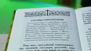 У книжной полки. Святая княгиня Ольга