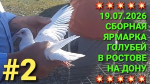 💥💥💥 19.07.26 Сборная ярмарка голубей в Ростове на Дону. Птичий рынок. Часть 2.