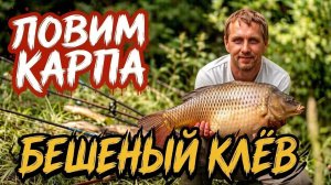 Весенняя рыбалка на карпа 2026.