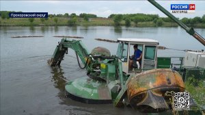В Прохоровском округе вторую жизнь получит пруд Андреевский